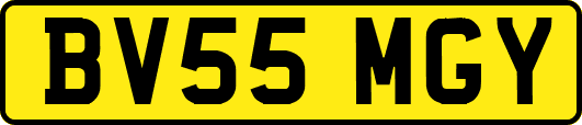 BV55MGY