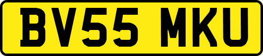 BV55MKU