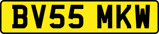 BV55MKW