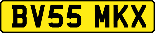 BV55MKX
