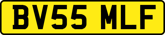 BV55MLF