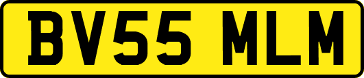 BV55MLM