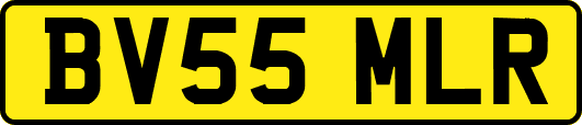 BV55MLR