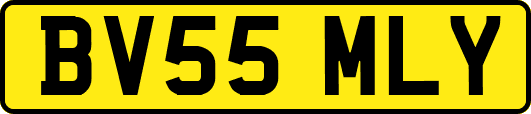 BV55MLY