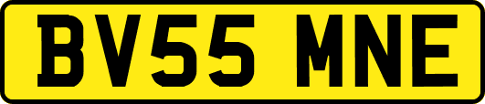 BV55MNE