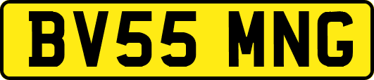 BV55MNG