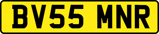 BV55MNR