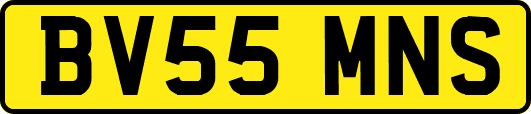BV55MNS