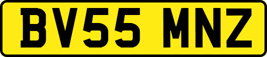 BV55MNZ