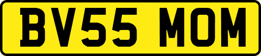 BV55MOM