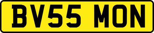 BV55MON