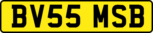 BV55MSB