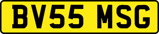 BV55MSG