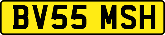 BV55MSH