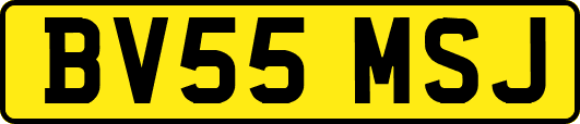 BV55MSJ