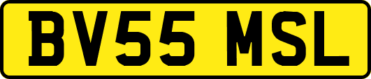 BV55MSL