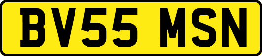 BV55MSN