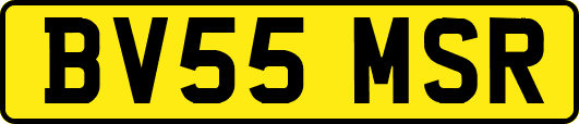 BV55MSR