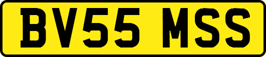 BV55MSS