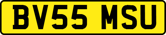 BV55MSU