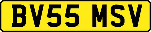 BV55MSV