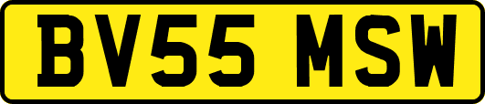 BV55MSW