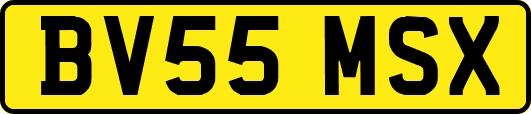 BV55MSX