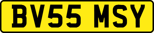 BV55MSY