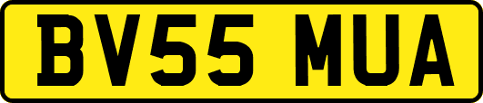 BV55MUA
