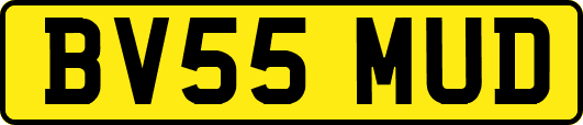 BV55MUD