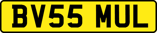 BV55MUL