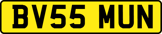 BV55MUN