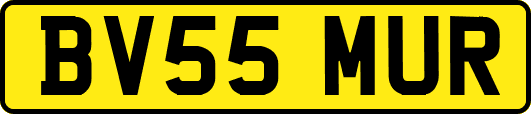 BV55MUR