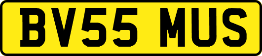 BV55MUS