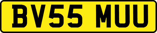 BV55MUU