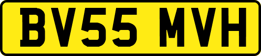 BV55MVH