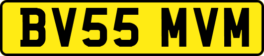 BV55MVM