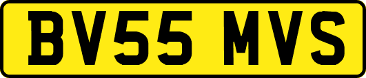 BV55MVS