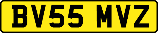 BV55MVZ