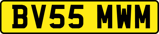 BV55MWM