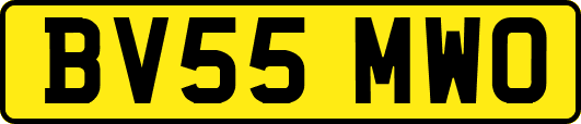 BV55MWO
