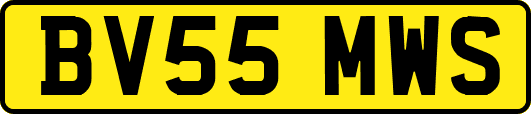 BV55MWS