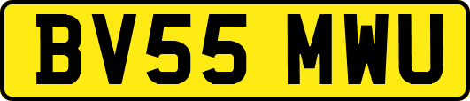 BV55MWU