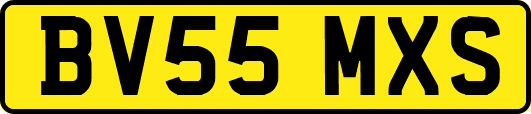BV55MXS