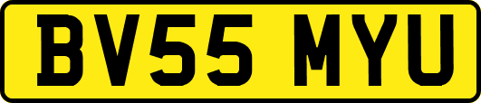 BV55MYU