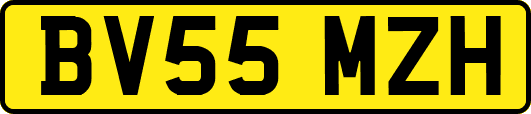 BV55MZH