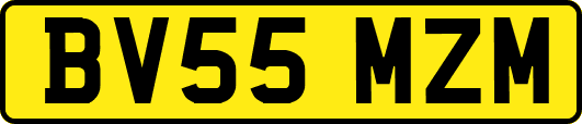 BV55MZM