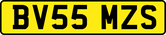 BV55MZS