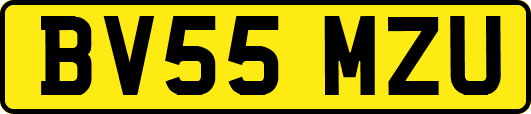 BV55MZU