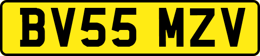 BV55MZV